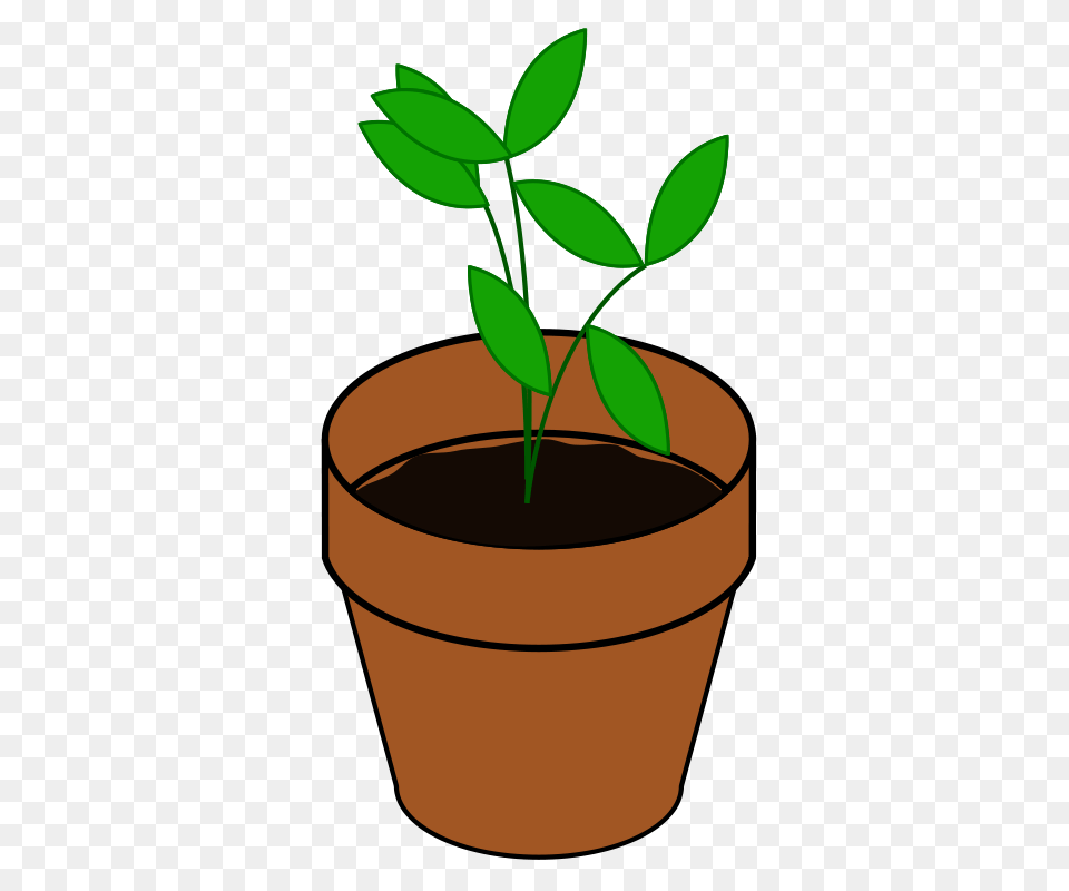 Clipart, Leaf, Plant, Potted Plant, Cookware Png