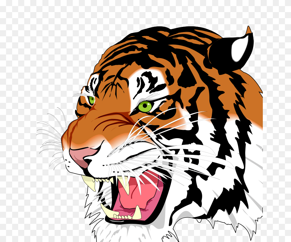 Clipart, Person, Animal, Mammal, Tiger Free Png