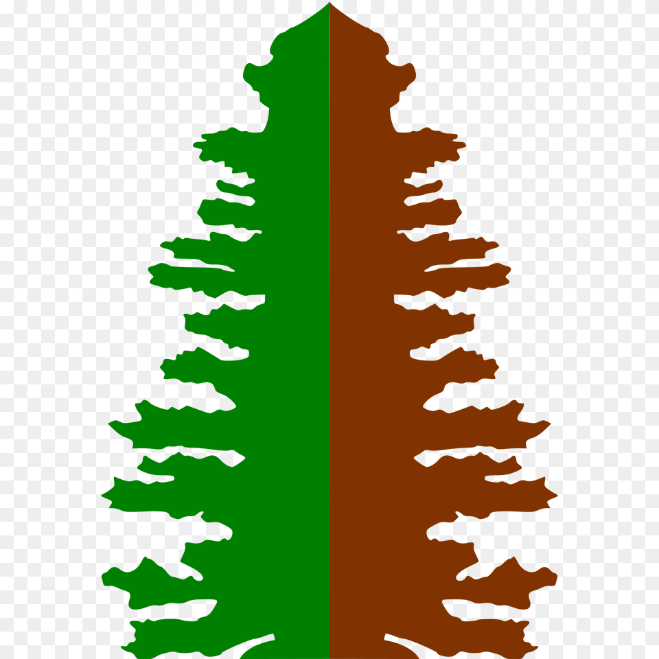 Clipart, Leaf, Plant, Tree, Person Free Png