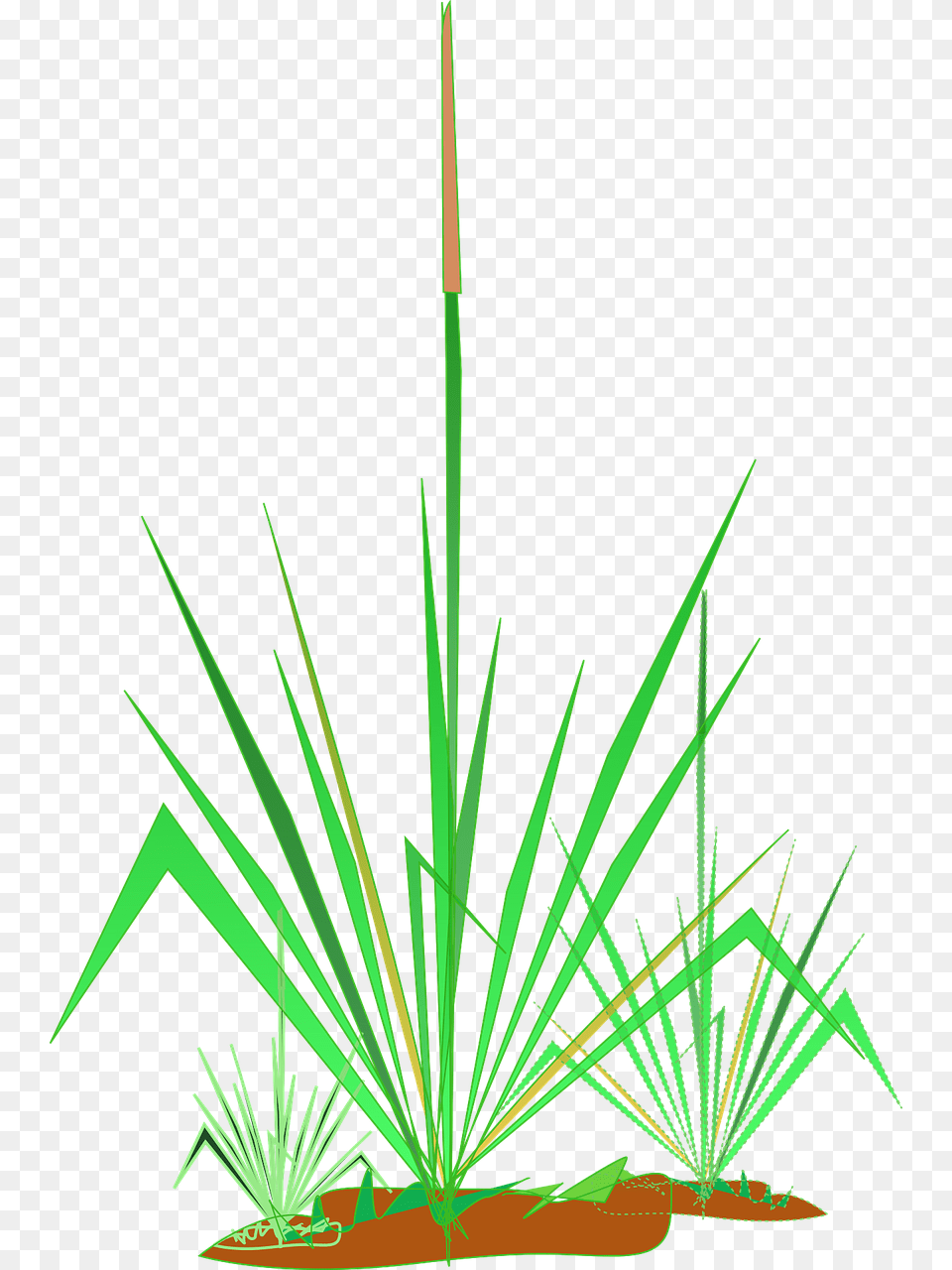 Clipart, Grass, Plant, Agropyron Free Transparent Png