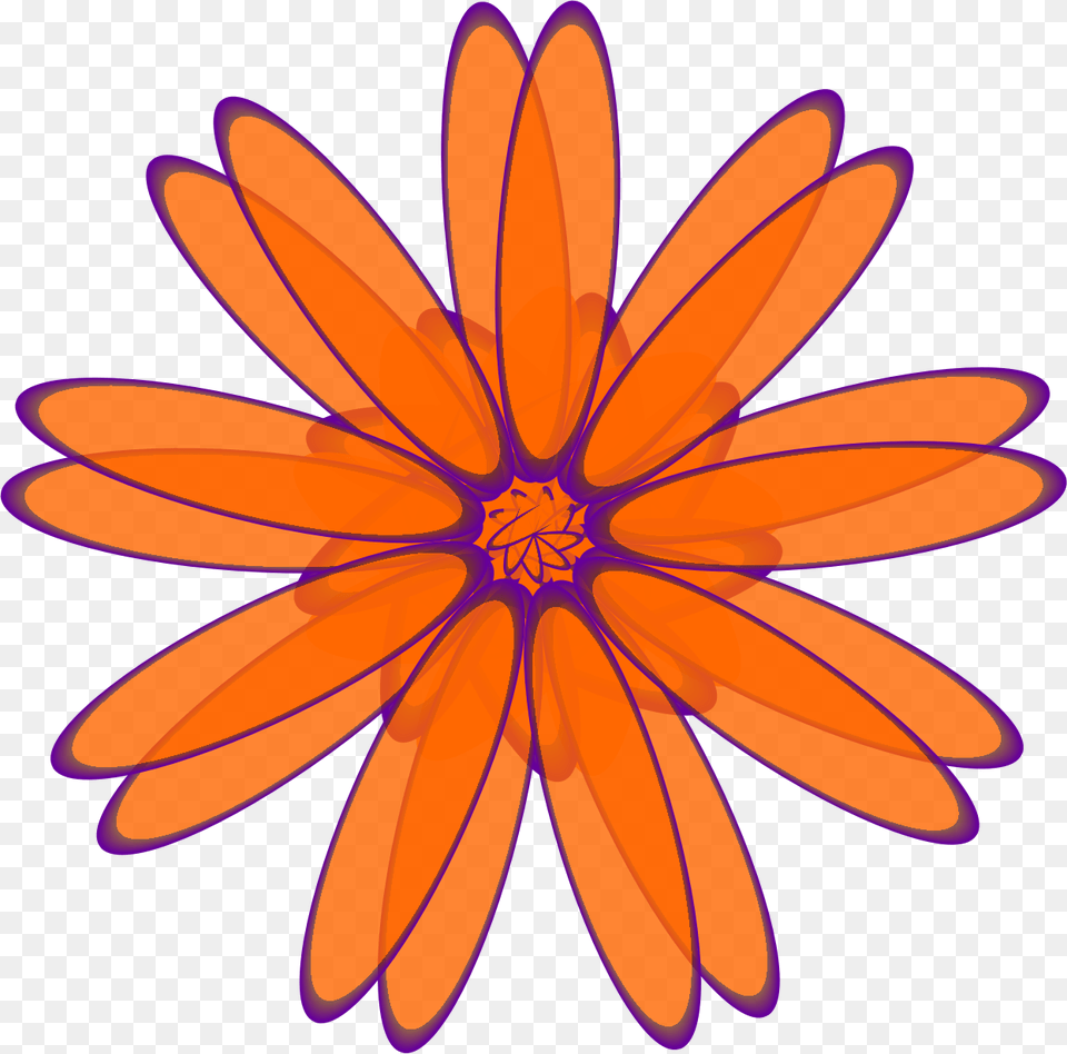 Clipart, Daisy, Flower, Petal, Plant Png Image