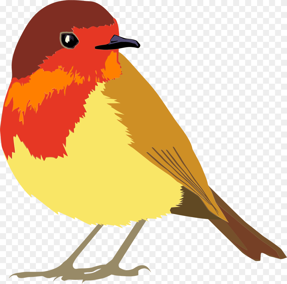 Clipart, Animal, Bird, Finch, Fish Free Png Download