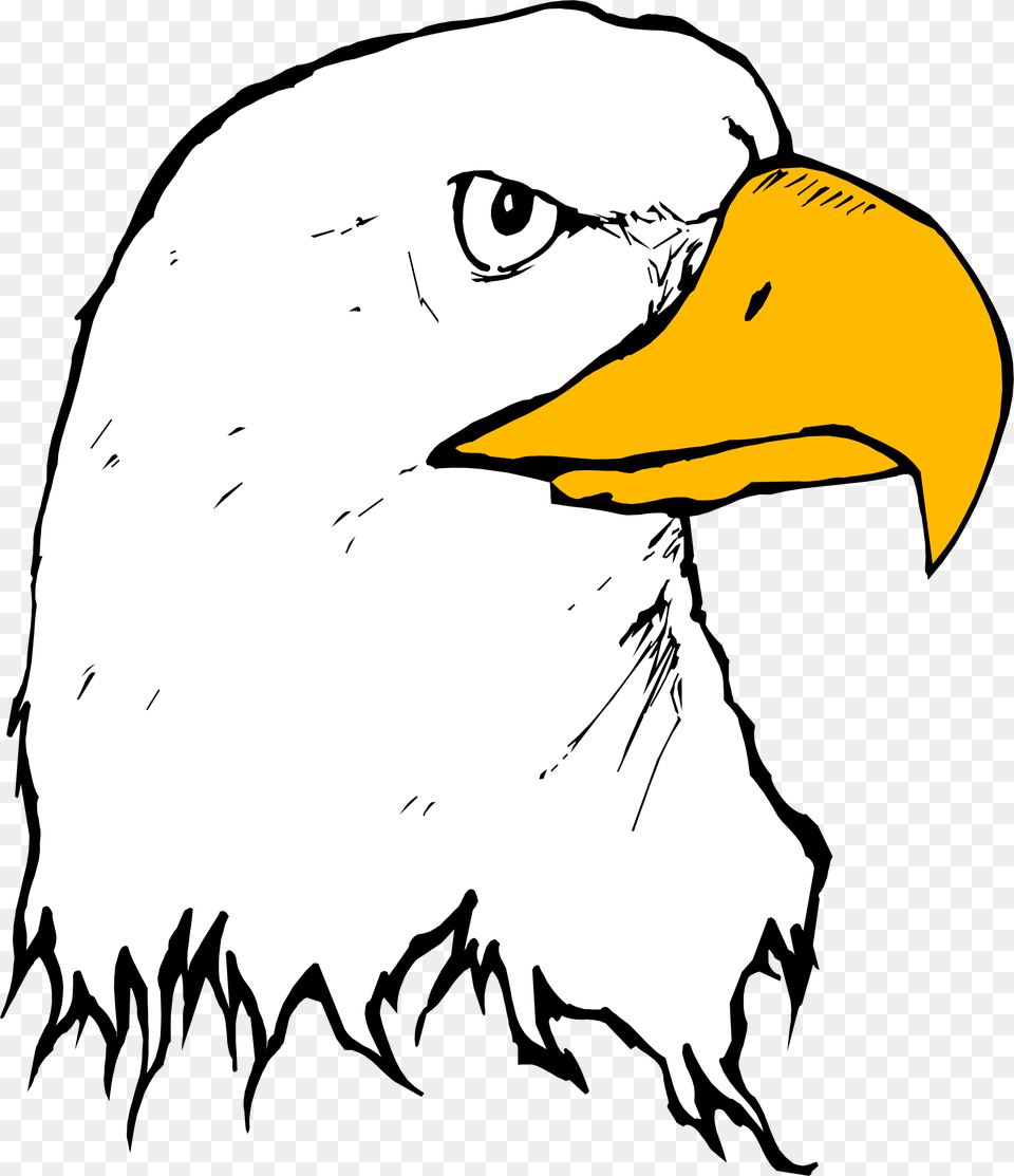 Clipart, Animal, Beak, Bird, Eagle Free Transparent Png