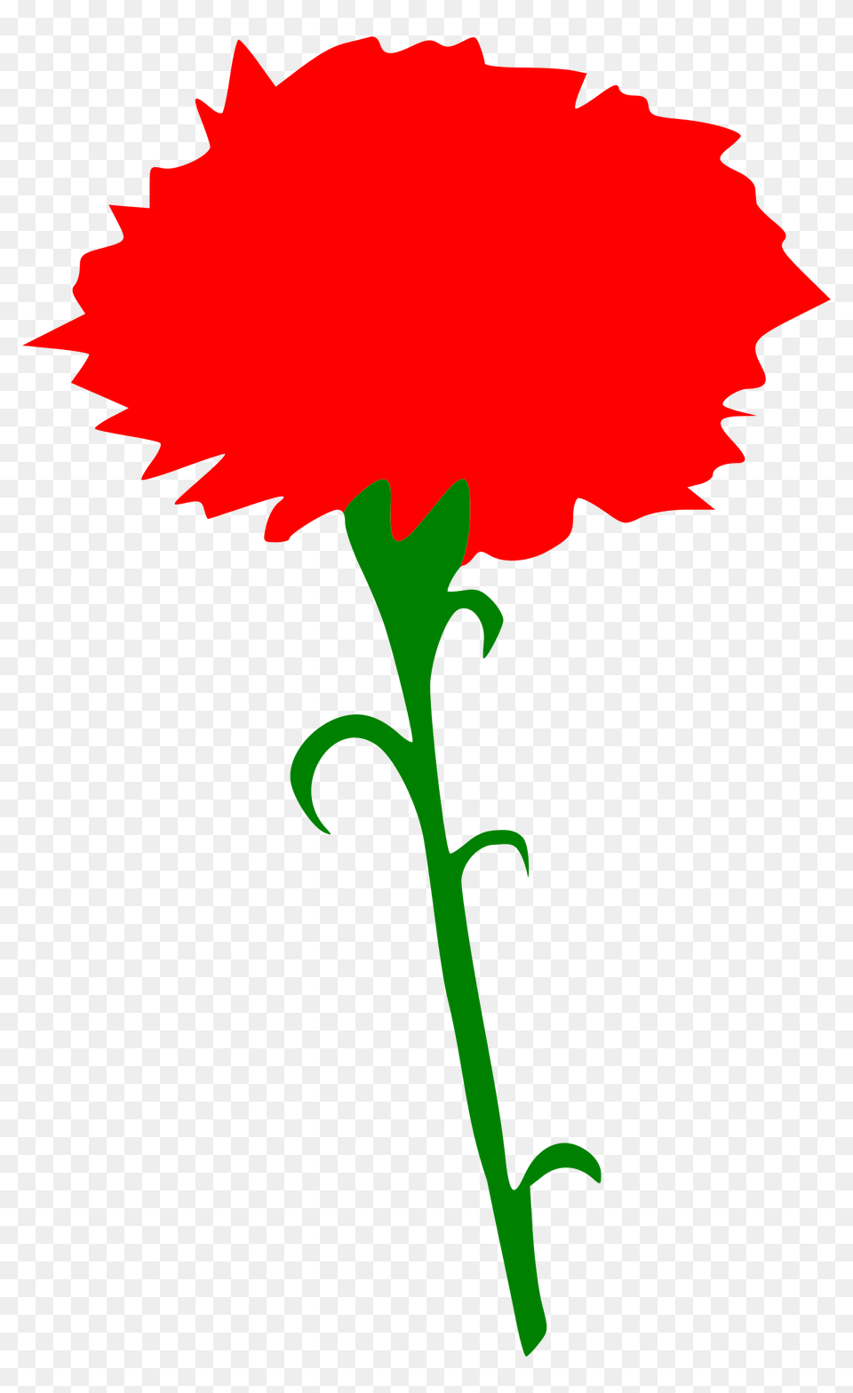 Clipart, Carnation, Flower, Plant, Person Free Png