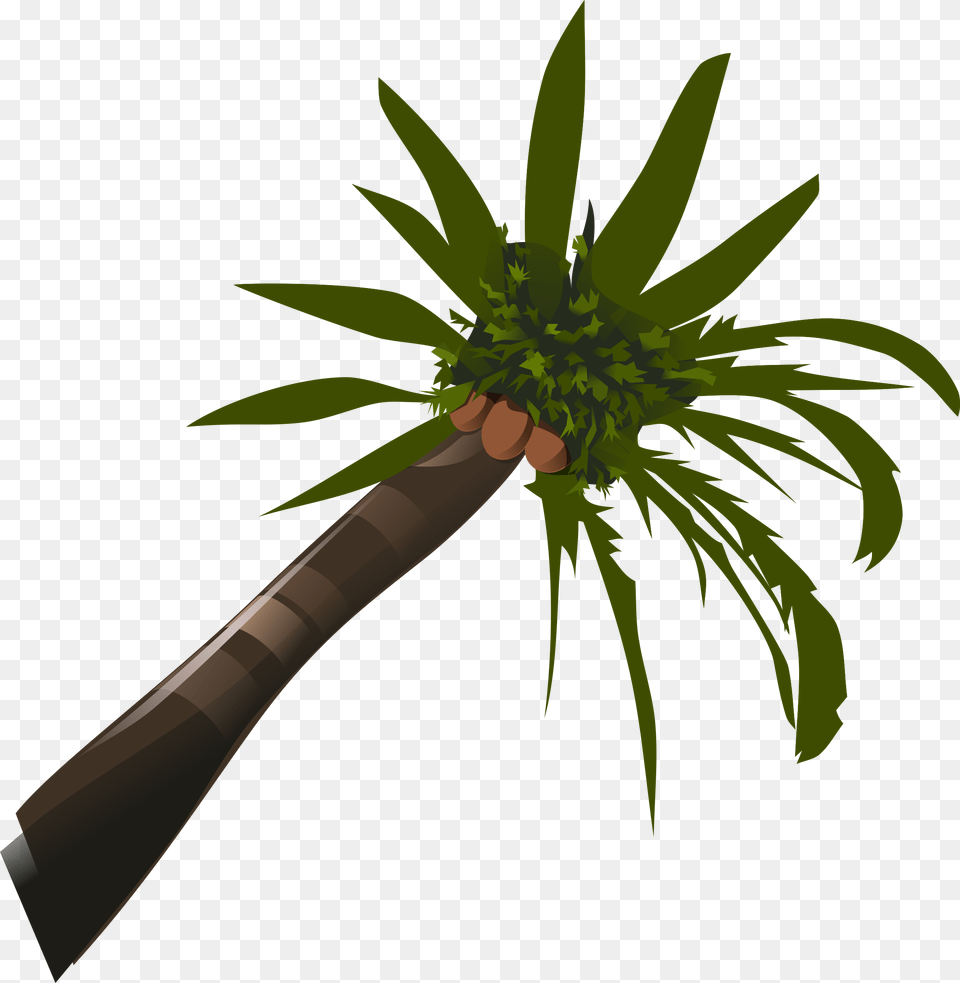Clipart, Palm Tree, Plant, Tree, Food Png