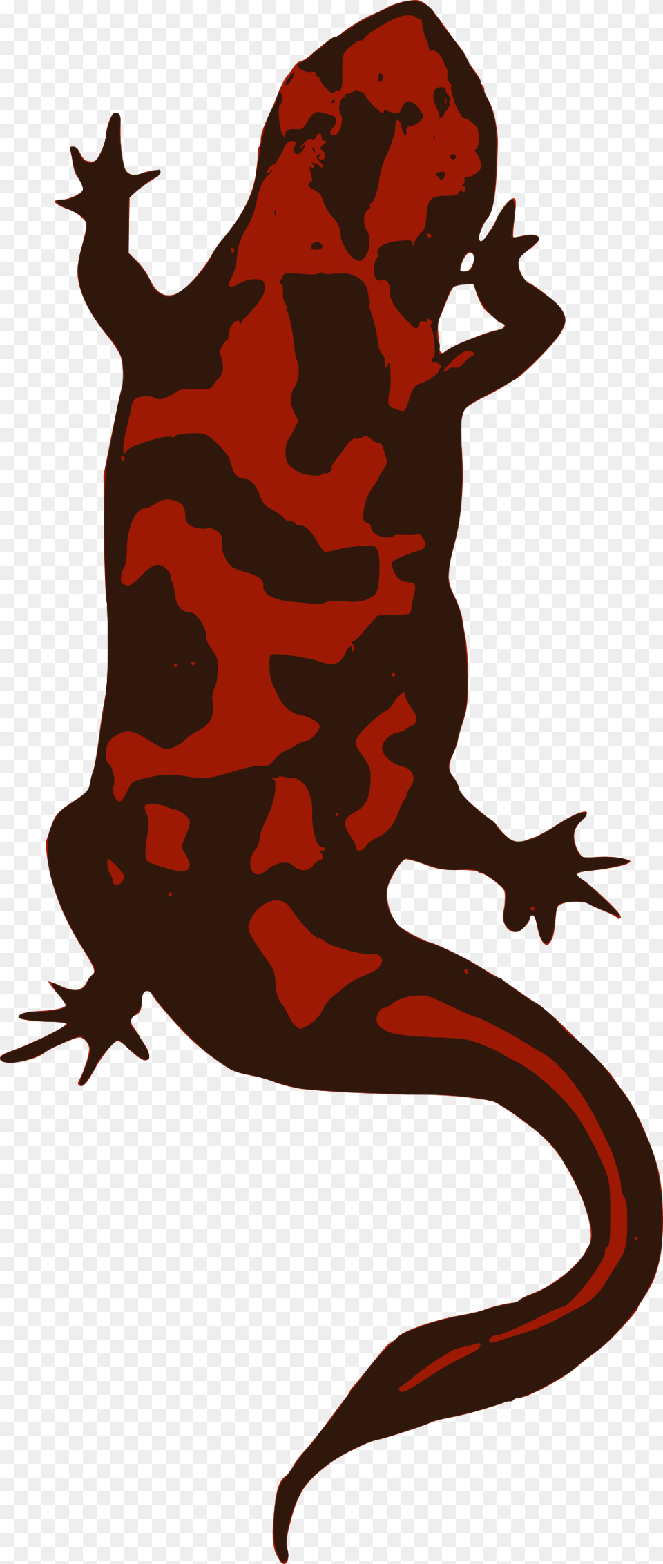 Clipart, Animal, Person, Wildlife, Amphibian Free Transparent Png