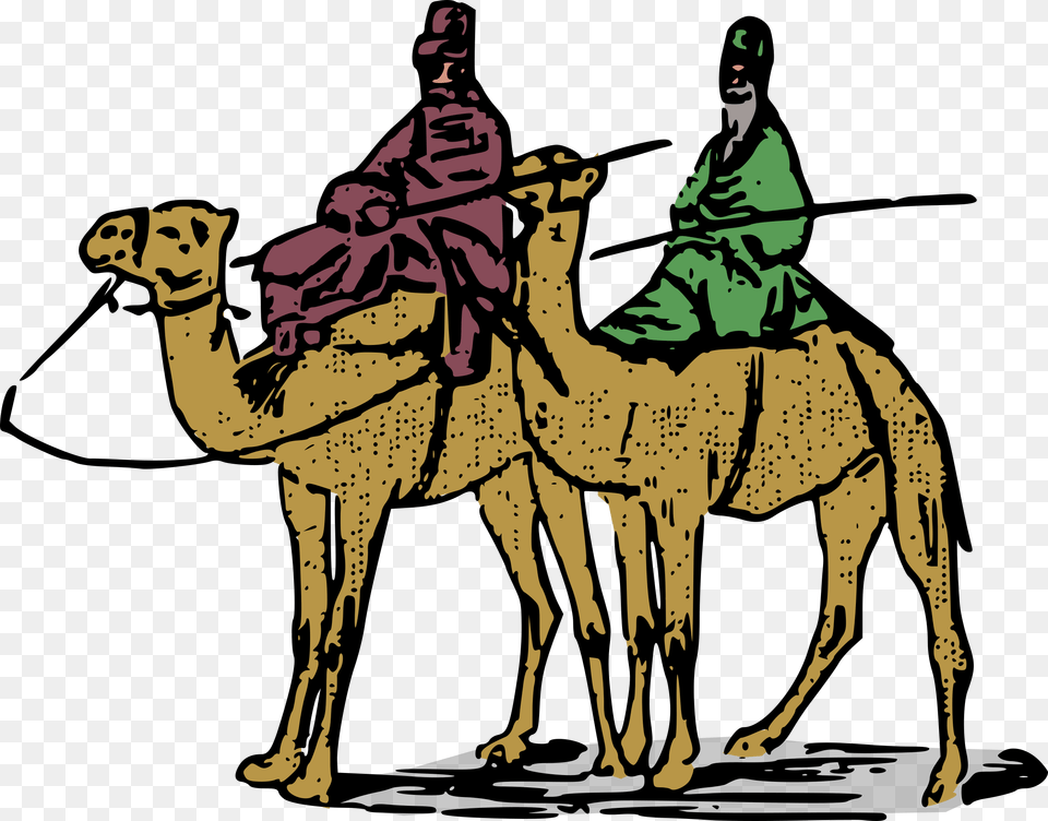 Clipart, Animal, Camel, Mammal, Adult Free Png