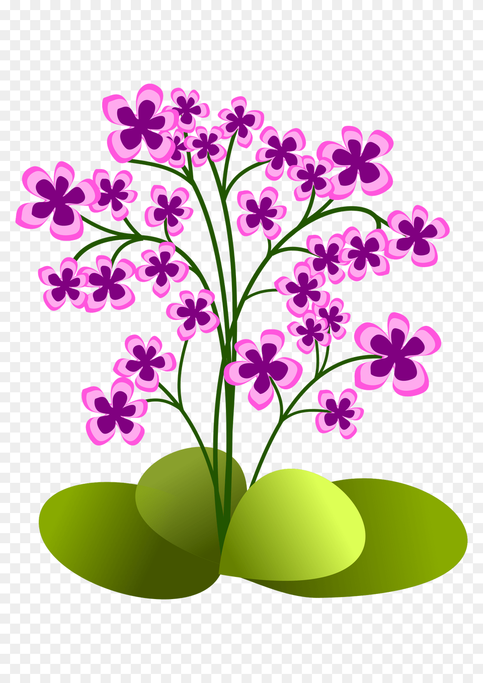 Clipart, Flower, Plant, Art, Graphics Free Transparent Png