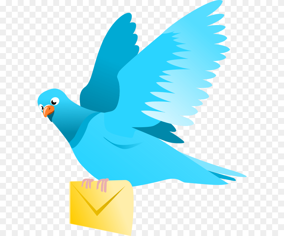 Clipart A Flying Pigeon Delivering A Message Wildchief, Animal, Bird, Parakeet, Parrot Png Image