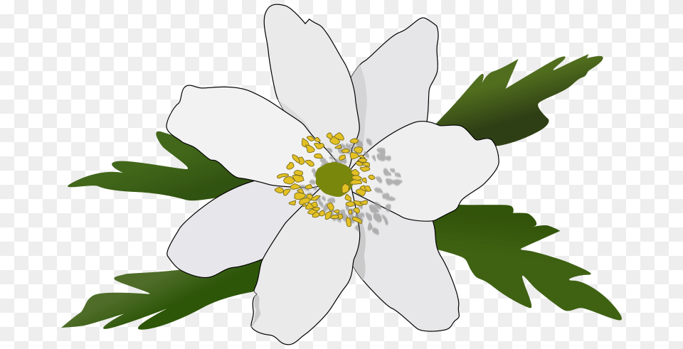 Clipart Anemone Nemorosa Pesasa, Pollen, Plant, Flower, Anther Free Png
