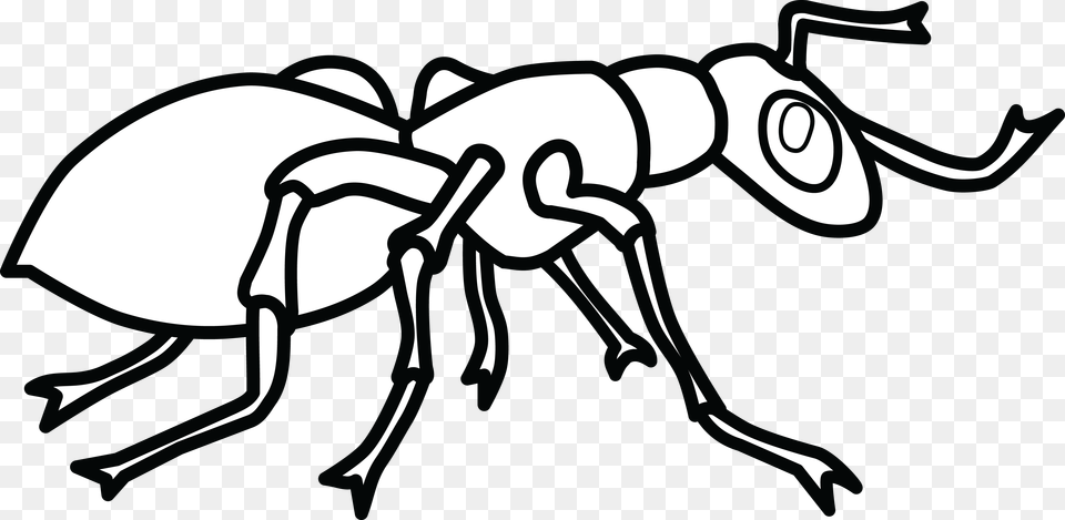 Clipart Ant Black And White Clipart Library Ant Clip Art, Animal, Insect, Invertebrate Free Png Download