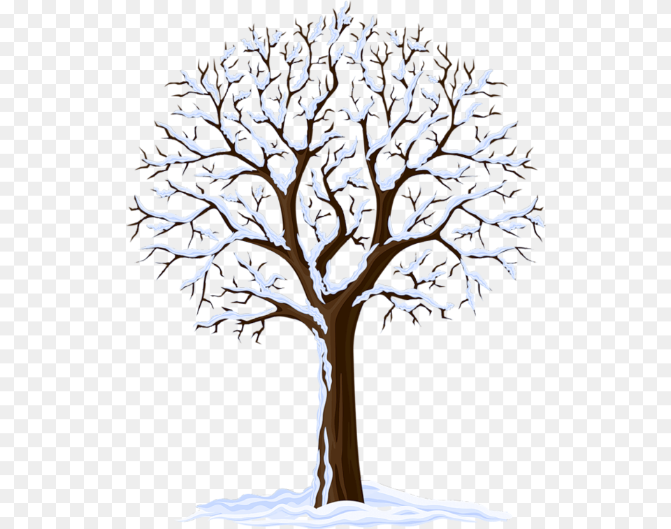 Clipart Arbre Tree Bare Winter Tree Vector, Plant, Tree Trunk, Wood, Oak Free Png Download
