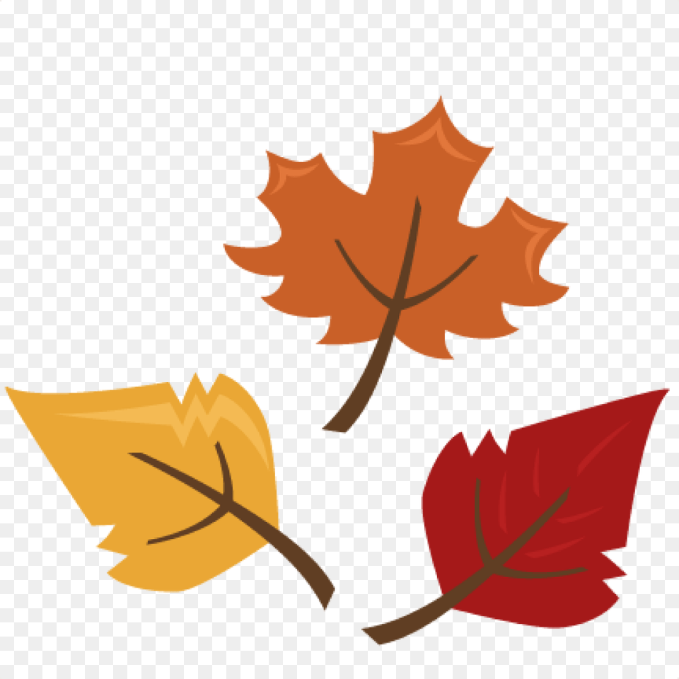 Clipart Autumn Leaves Clipartlook Clip Art Fall Leaves, Leaf, Maple Leaf, Plant, Tree Free Png