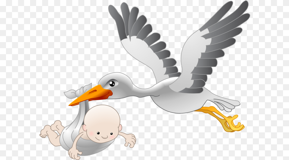 Clipart Baby Transparent Background Bird Flying With Baby, Animal, Beak, Waterfowl, Person Free Png Download