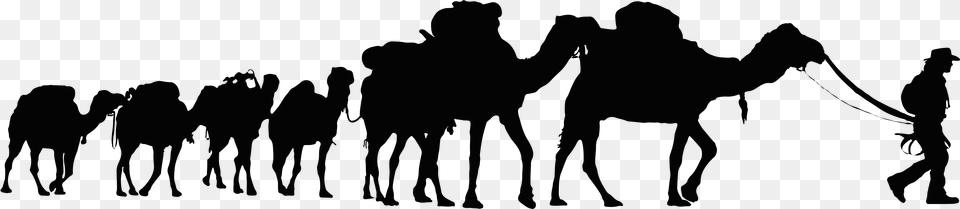 Clipart Background Camels, Animal, Camel, Mammal Free Png Download