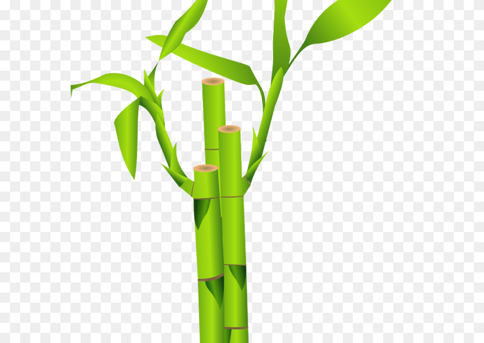 Clipart Bamboo Bamboo Clip Art Wall, Plant, Dynamite, Weapon Free Png