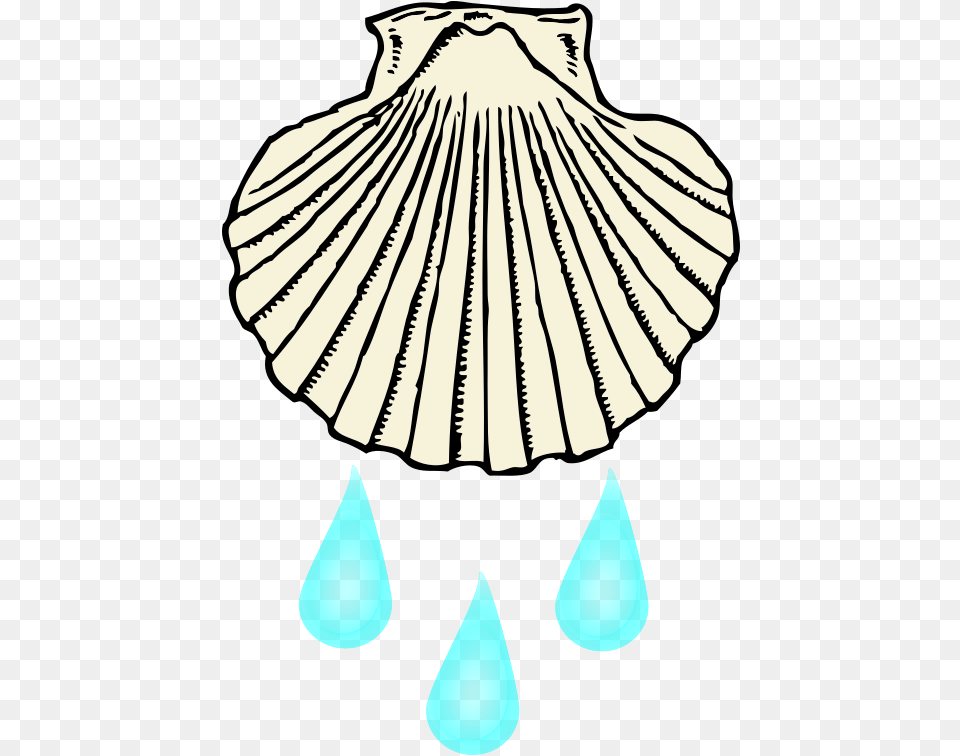 Clipart Baptism Shell Seashell Black And White Clipart, Invertebrate, Animal, Clam, Food Png