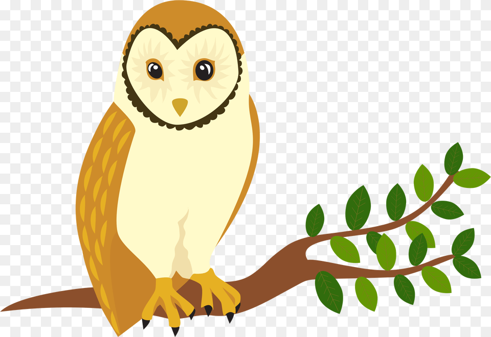 Clipart Barn Owl Clip Art Images, Animal, Bird Free Png Download