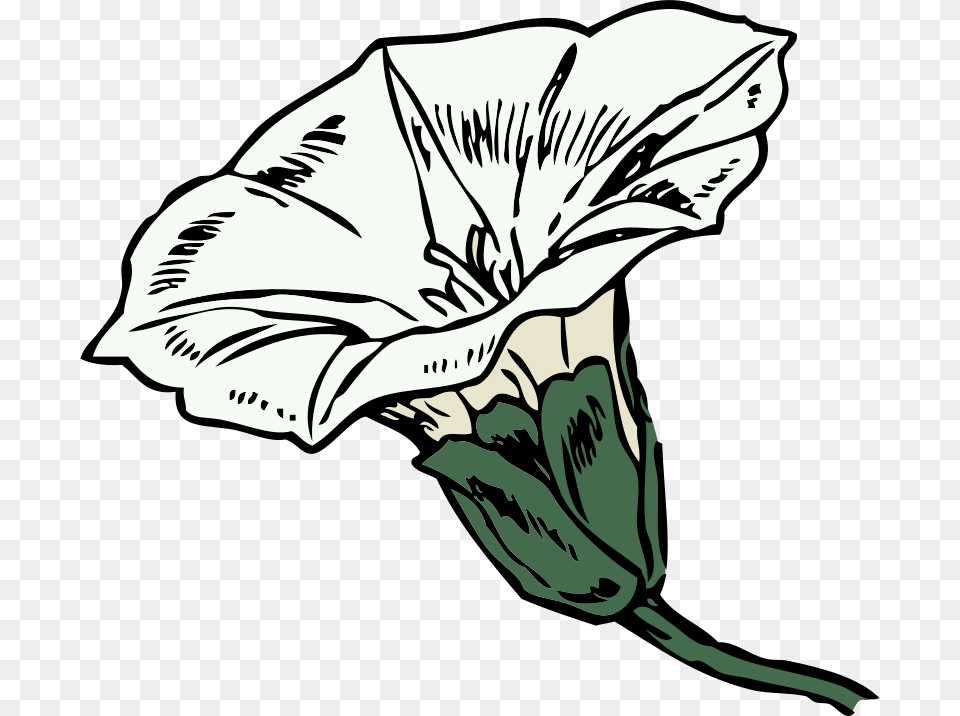Clipart Bastille Netalloy, Flower, Plant, Art, Drawing Free Png