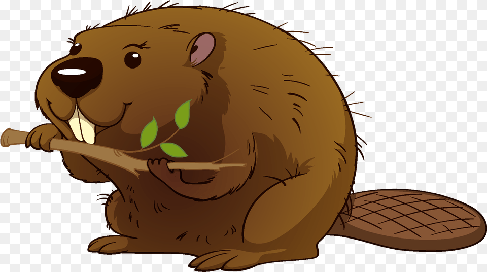 Clipart Beaver, Animal, Mammal, Rodent, Wildlife Png