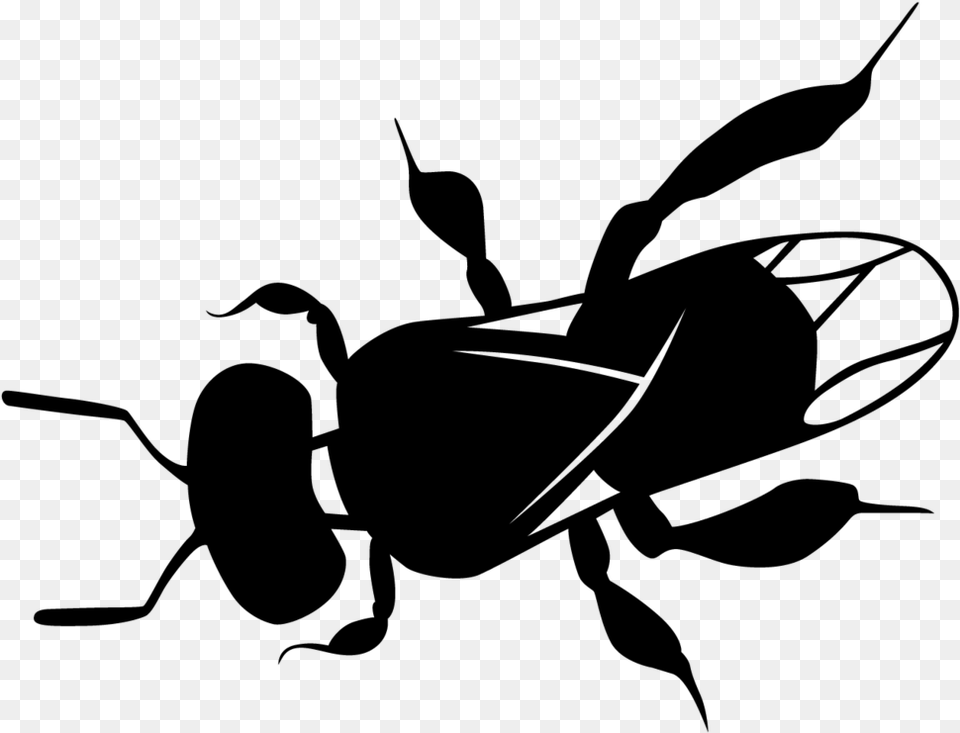 Clipart Bee Path Australian Native Bee Art, Gray Free Png Download