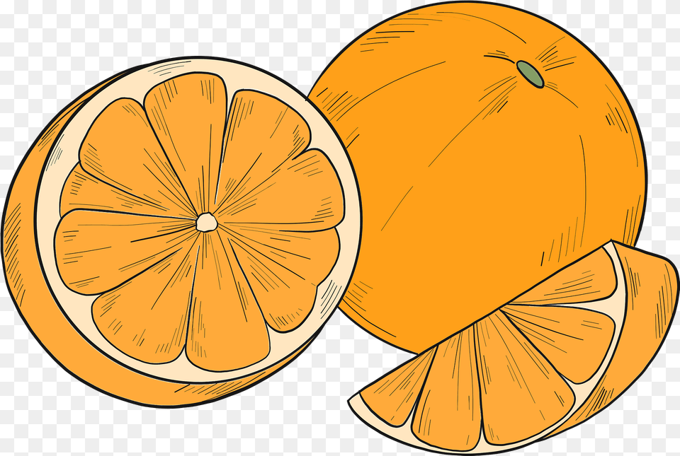 Clipart Bergamot Orange, Citrus Fruit, Food, Fruit, Grapefruit Png