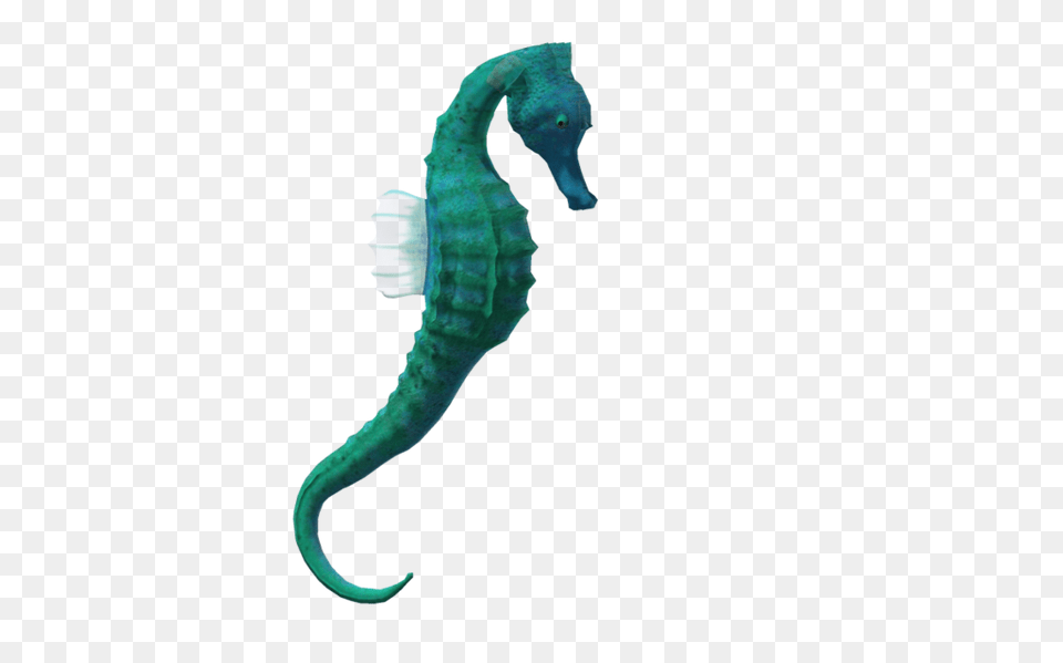 Clipart Best Seahorse Images, Animal, Sea Life, Mammal, Dinosaur Free Png