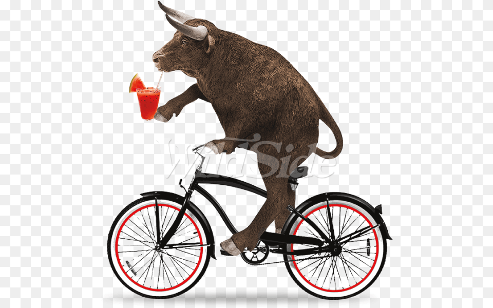Clipart Bike Beach Cruiser Bull Riding A Bike, Machine, Wheel, Bicycle, Transportation Free Png Download
