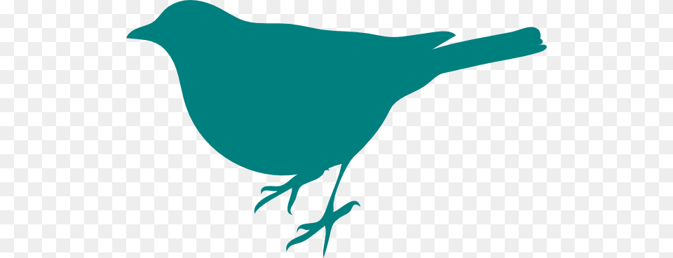 Clipart Bird Outline, Animal, Blackbird, Jay Free Png