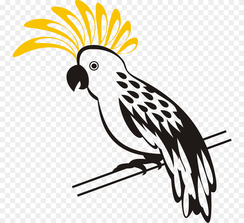 Clipart Birds Kakatua Cockatoo, Animal, Bird, Parrot Free Png Download
