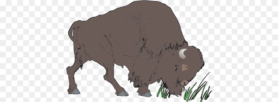 Clipart Bison Image With No Transparent Animation Buffalo Gif, Animal, Mammal, Wildlife, Person Free Png Download