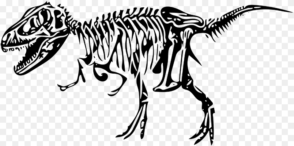 Clipart Black And White Library Clipart Dino On Esqueleto Dinossauro, Animal, Dinosaur, Reptile, T-rex Free Png