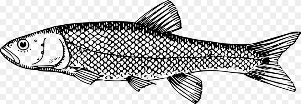 Clipart Black And White Milk Fish, Gray Free Transparent Png