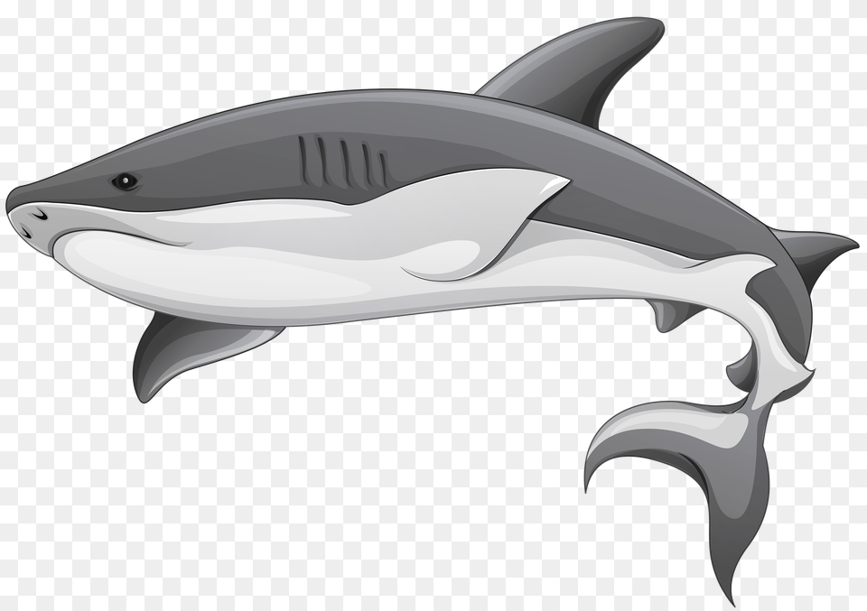 Clipart Black And White Transparent Background Shark Clipart, Animal, Sea Life, Fish Free Png