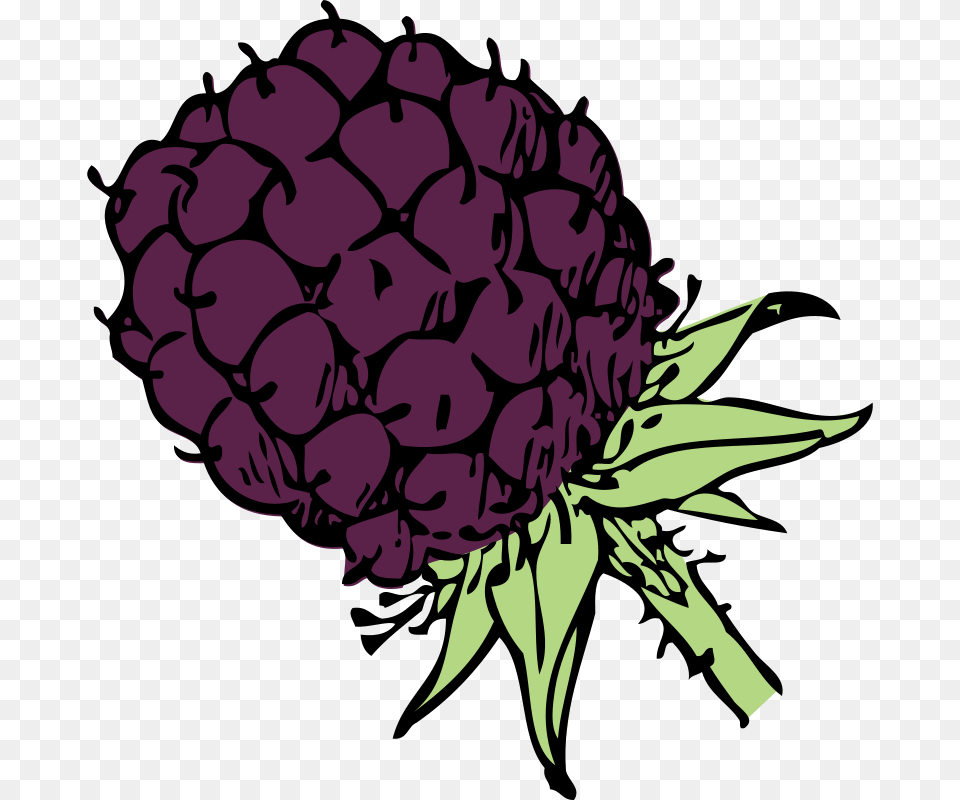 Clipart Blackberry Johnny Automatic, Berry, Food, Fruit, Plant Free Png Download