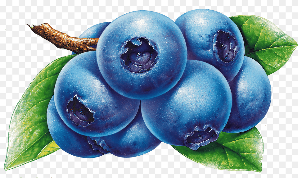 Clipart Blueberries, Berry, Blueberry, Food, Fruit Free Png Download