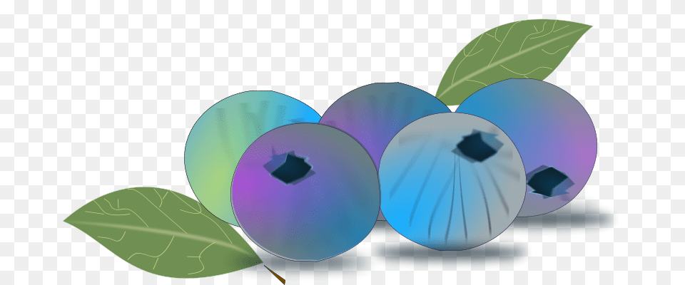 Clipart Blueberry Netalloy, Berry, Food, Fruit, Plant Free Transparent Png