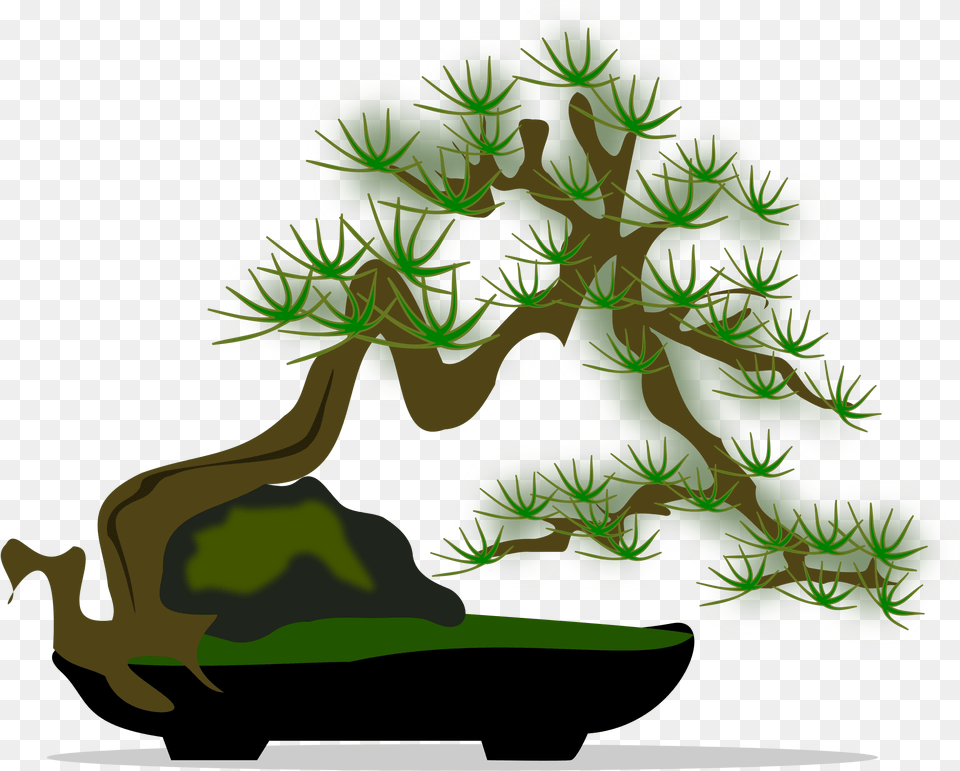 Clipart Bonsai, Green, Plant, Potted Plant, Tree Free Png Download
