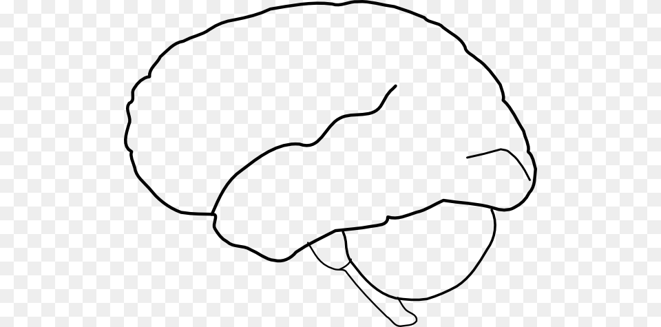 Clipart Brain Outline, Clothing, Hat, Stencil Free Png Download