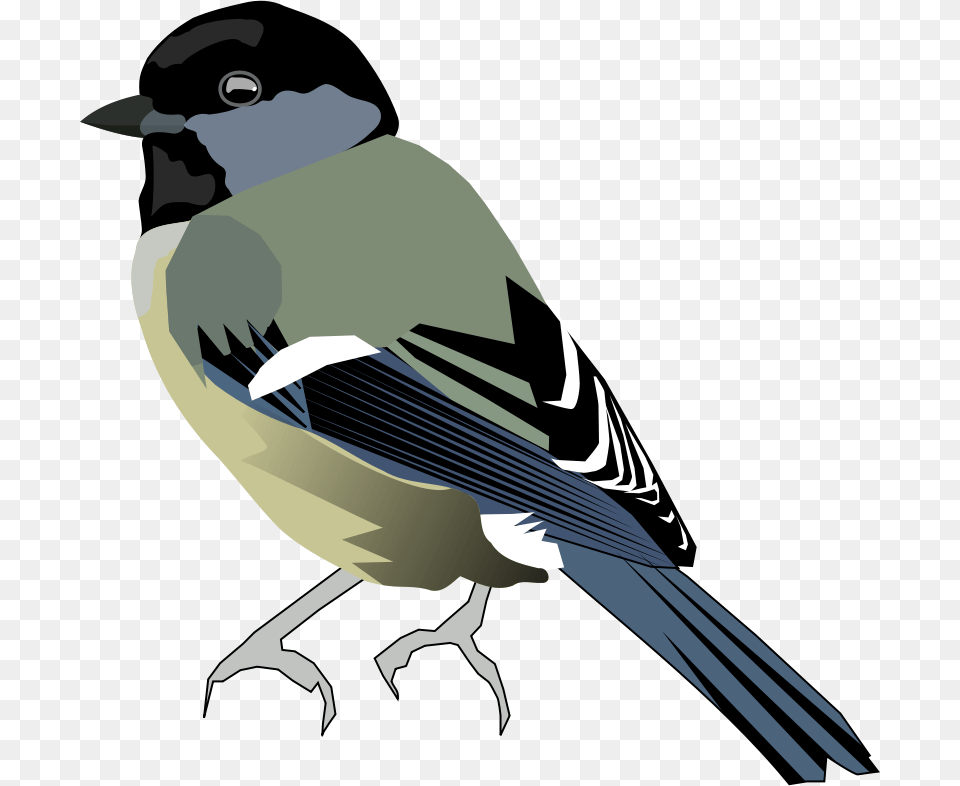 Clipart Bride Kattekrab, Animal, Bird, Finch, Jay Png