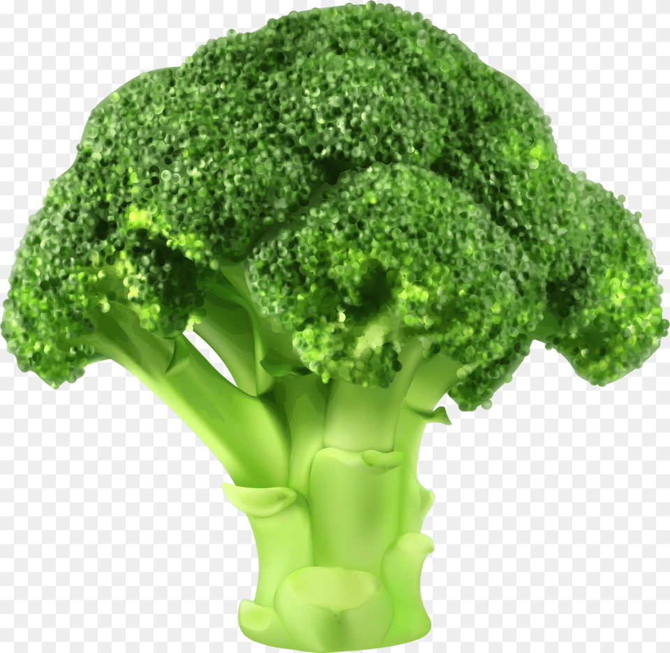 Clipart Broccoli Free Png