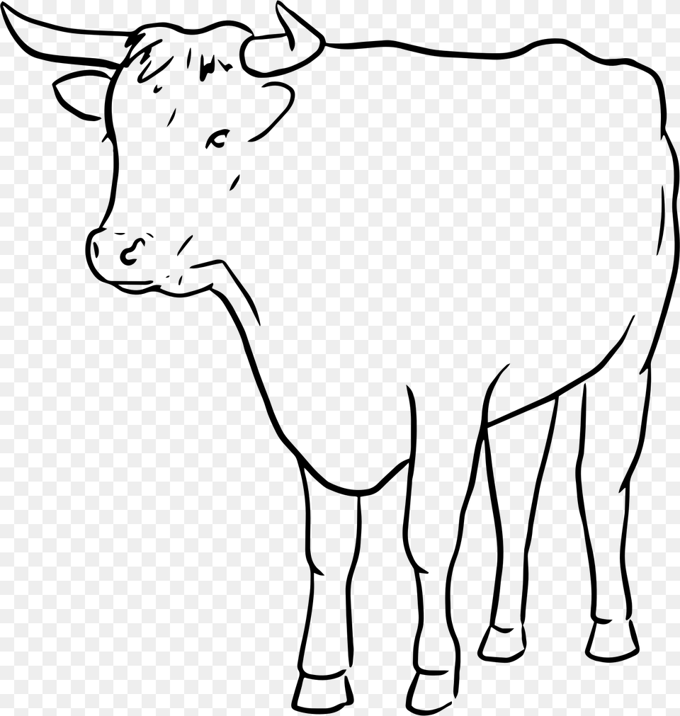 Clipart Bull Line Art, Gray Png