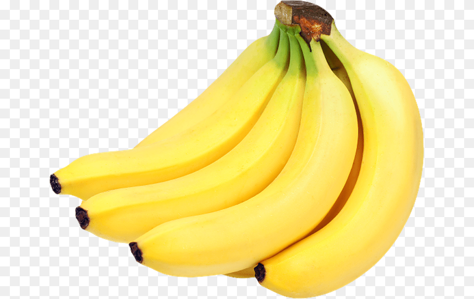 Clipart Bunch Of Banana Clipart Bunch Of Banana, Food, Fruit, Plant, Produce Png Image