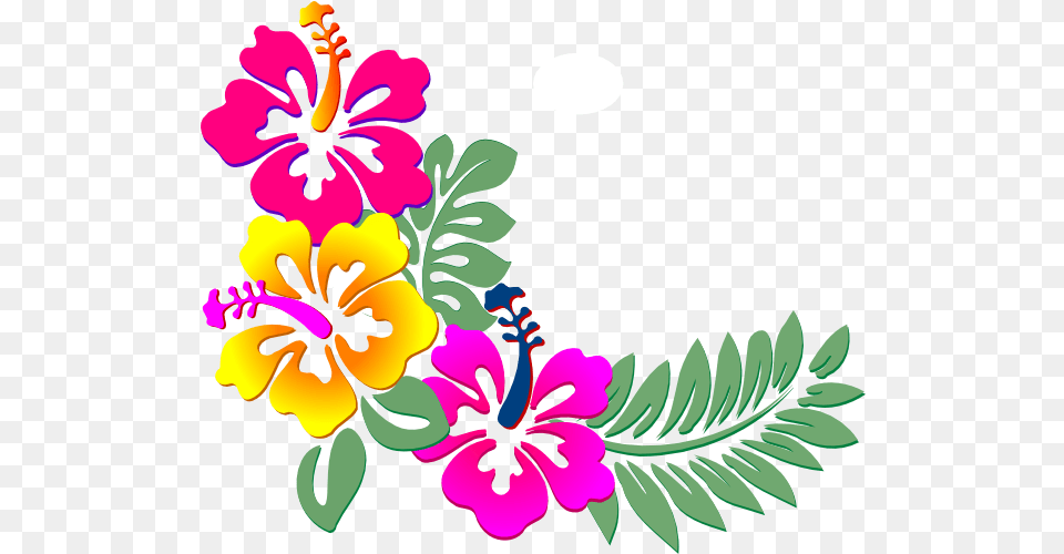 Clipart Bunga Flower Corner Border Design, Art, Pattern, Plant, Graphics Free Transparent Png