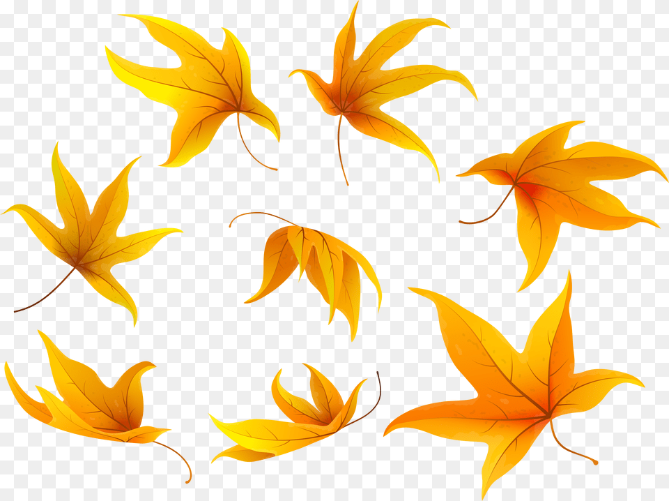 Clipart Butterfly Autumn Portable Network Graphics, Leaf, Plant, Tree, Animal Png Image