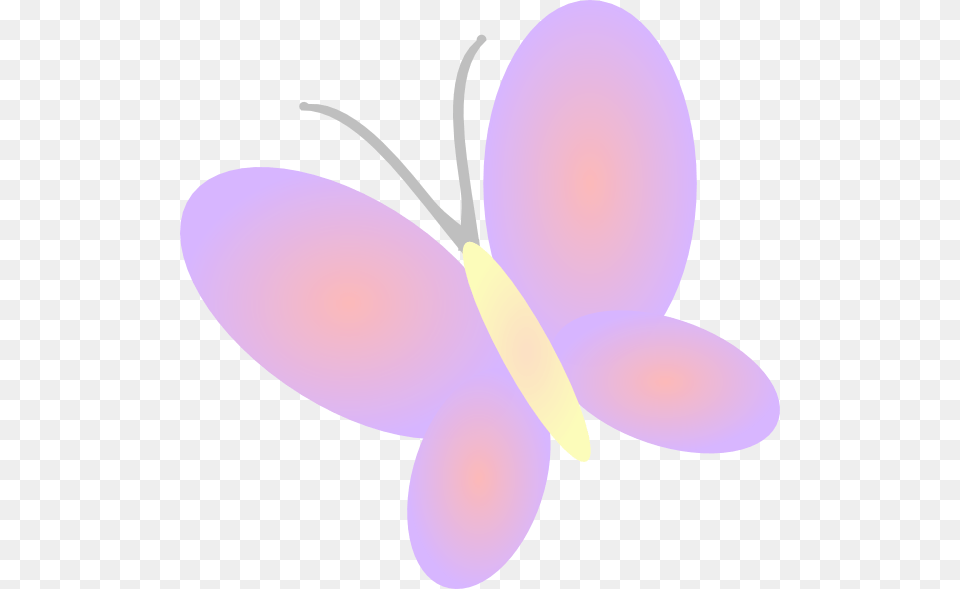 Clipart Butterfly Cute, Animal, Plant, Invertebrate, Insect Free Png Download