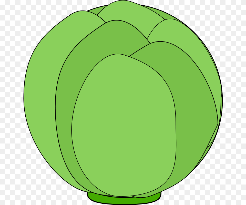 Clipart Cabbage Machovka, Food, Produce, Leafy Green Vegetable, Plant Png