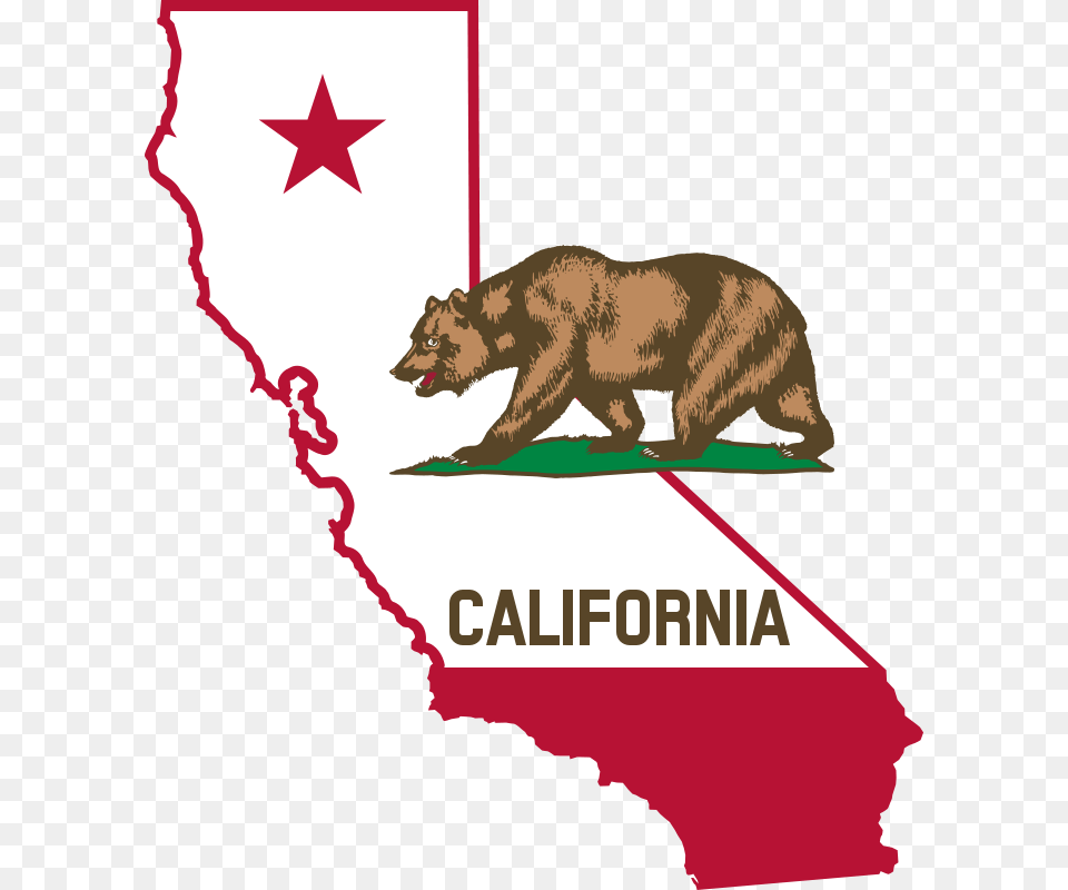 Clipart California, Animal, Bear, Mammal, Wildlife Png Image