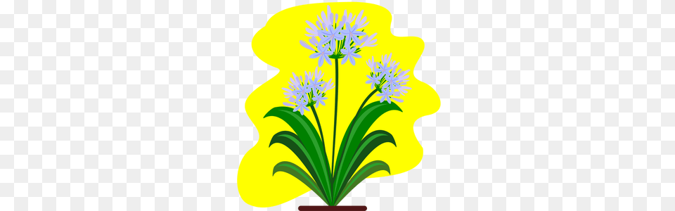 Clipart Calla Lily Flower, Plant, Flower Arrangement, Daisy, Art Free Png Download