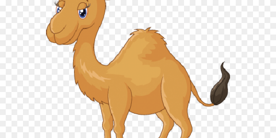 Clipart Camel Cartoon, Animal, Mammal, Person, Face Png Image